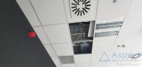Biuro do wynajęcia, 150 m2, Szczecin