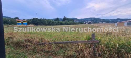 DZIAŁKA W BUDZOWIE