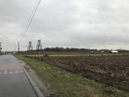 Działka inwestycyjna Sulechów Obłotne, usługi