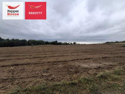 Twoja działka Kaszuby - 40 minut od Trójmiasta