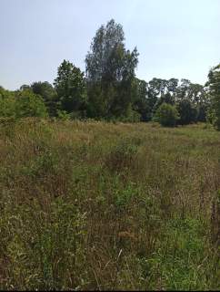 Działka