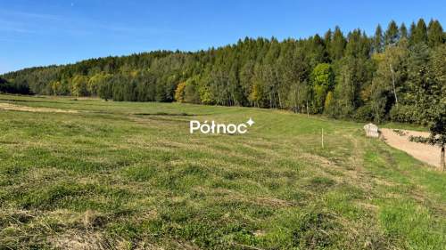 Działka z WZ przy lesie   Majdanek, gm. Tomaszów Lubelski