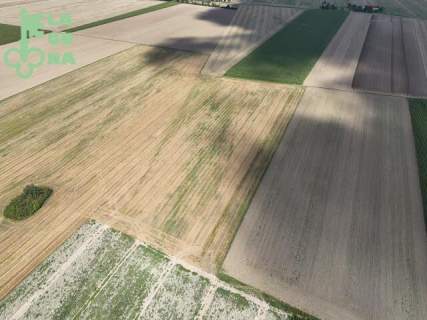 Działka rolna 1,99 ha - Siemianów, gm. Strzelce