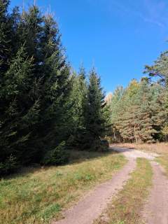 Działka Ruciane-Nida ul. Kowalik, 1.000 m2, MPZP