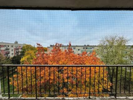 3 pokoje na RETKINI I Rozkład I Loggia Duża