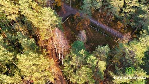 Działka 990 m2 w Sajenku, Augustów