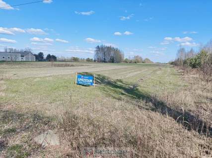 Działka rolna 5800 m2 -Dąbrowa, gm Mrozy