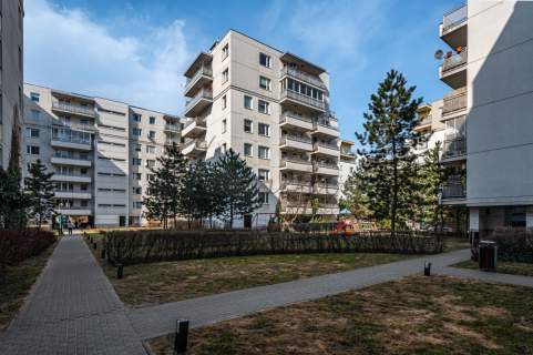 Przytulne mieszkanie na wynajem Marina Mokotów