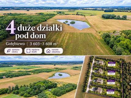 DZIAŁKA OTWARTA 14.10 Gołębiewo cisza, przestrzeń i natura