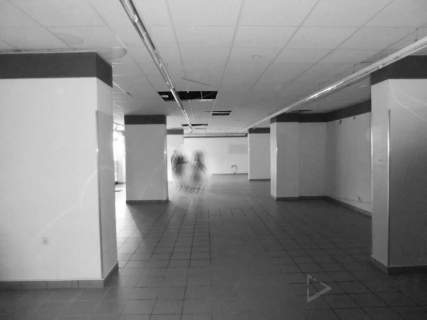 Duży lokal 264m2 w Centrum