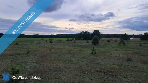 Działka budowlana Dolnik 1074 m2. Wydane WZ.