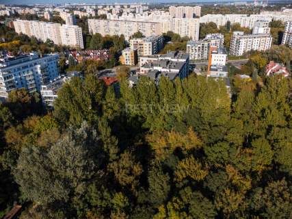 Zapierający dech w piersiach widok na zieleń 