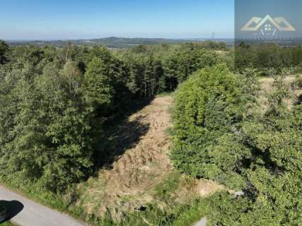 Działka budowlana na sprzedaż, 10600 m2, Łękawica