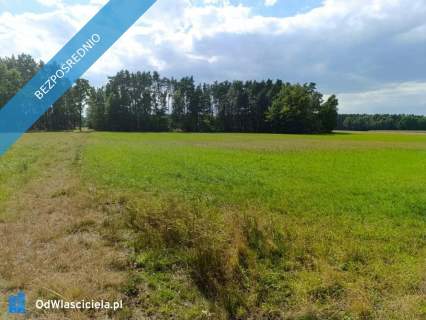 Siedlisko 3,57 ha z zabudowaniami i własnym lasem Siedlików...