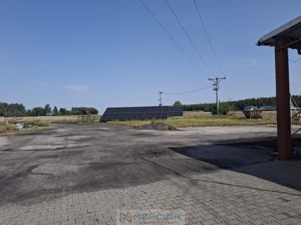 Nieruchomość po pieczarkarni/ Strusy/ Paprotnia
