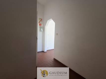 Lokal usługowy Żabianka ul. Gospdy