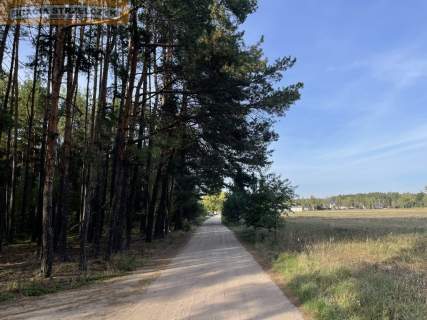 Działka jest MPZP pod zabudowe mieszkaniowa Świniotop/Kamieńczyk