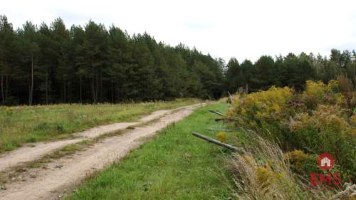 Dom w otoczeniu lasu działka 2400 m