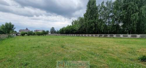 Duża działka usługowa 6000m2 w Grezów