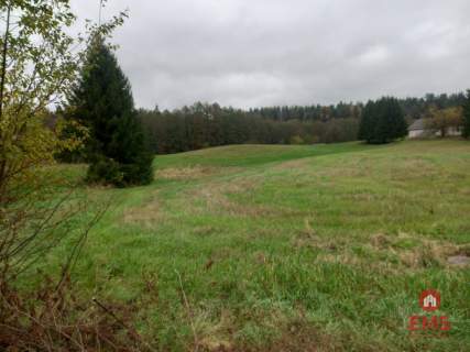 DZIAŁKA SIEDLISKOWA-INWESTYCYJNA W OSINKACH