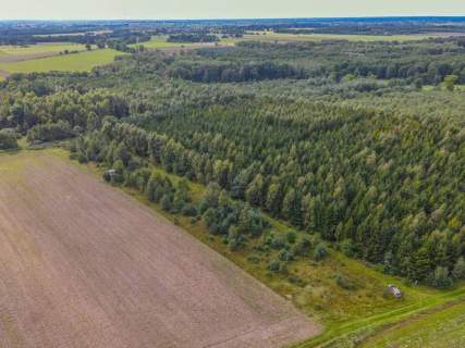 Działka rolna na sprzedaż, 5000 m2, Białogórzyno