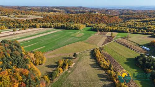DZIAŁKI WIDOKOWE 2,6 HA OTOCZENIE LASÓW I DOLINEK KRAKOWSKICH...