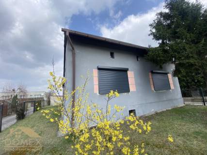 Dom do wynajęcia, 130 m2, Rybnik