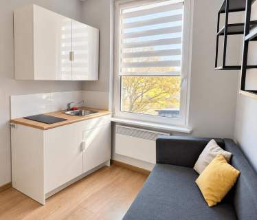 Funkcjonalne studio - Dubois 29, Śródmieście