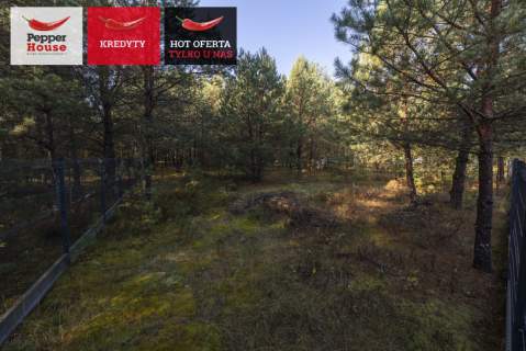 Borsk Działka 1380 m z projektami 2 domków letniskowych