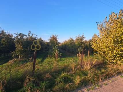 Działka 3100 m z WZ - cisza i prywatność