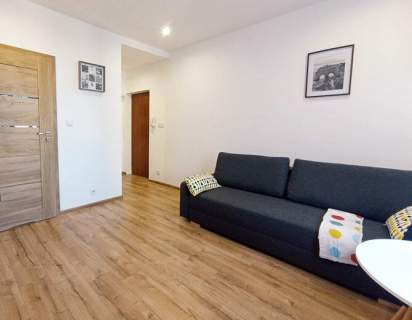 Wynajmę kawalerkę pet friendly,Al.Niepodległości 5
