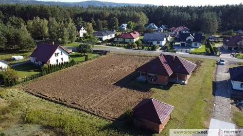 Dom, 250 m2, Gołęczyna, gm. Pilzno