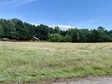 Działka - Stepień Kolonia