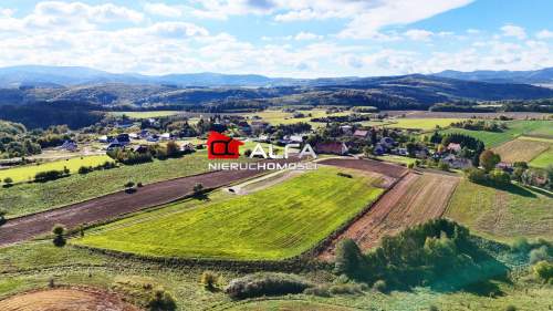 Działka budowlana na sprzedaż, 3000 m2, Modliszów