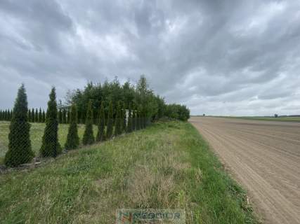 Działka budowlana 691 m2 w Borkach Siedleckich 