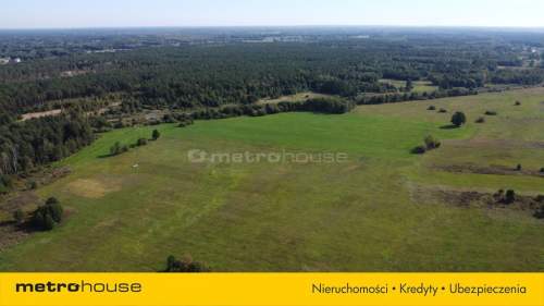 0,3 ha działka rolna, wkrótce z WZ, gm. Poświętne