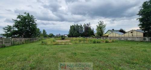 Duża działka usługowa 6000m2 w Grezów