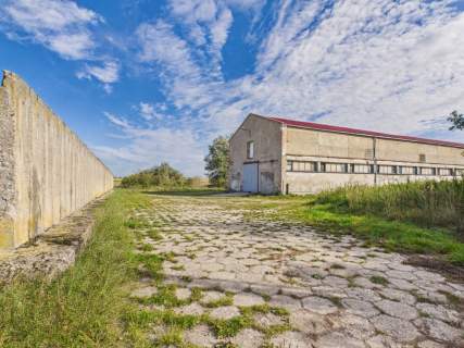 Hala magazynowo-produkcyjna 1800 m , dwie kondygnacje Sztumska...