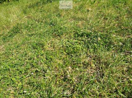 5,43 ha gospodarstwo rolne , niezabudowane , sprzedam , Ruda...