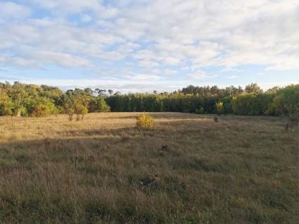 Działka inwestycyjna na sprzedaż, 40000 m2, Gniezno