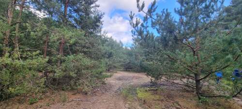 Działki budowlane 7 min. od Aleksandrowa łódzkiego, natura