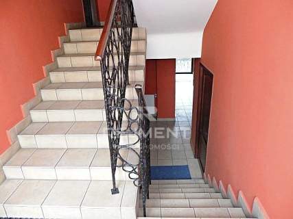 Lokal na wynajem 30 m2