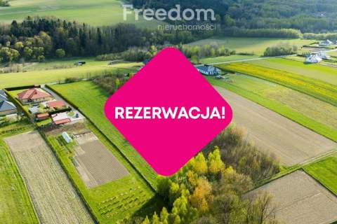 Działka z widokiem 71 ar Dylągówka