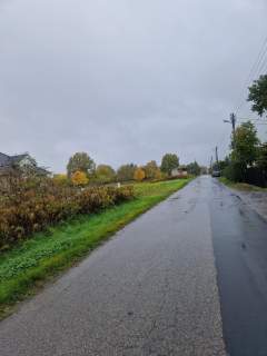 PT ul. Poleśna