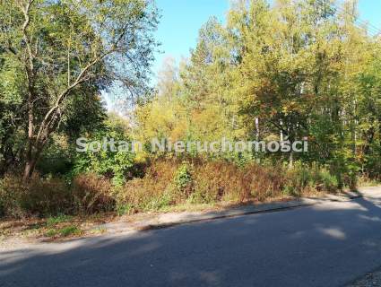 Kamienica do rozbudowy, duża działka
