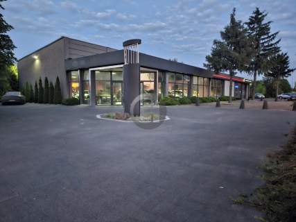 Salon samochodowy na wynajem