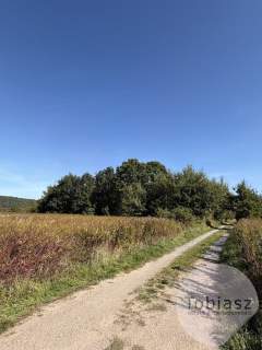 Działka inwestycyjna 2,7 ha, MNU, Tyniecka