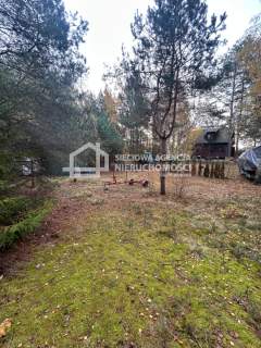 domek 150m od jeziora Wdzydzkiego Zabrody
