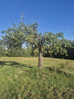 Stare Rybie, gm. Limanowa działka z wz ,40a przy lokalnej drodze