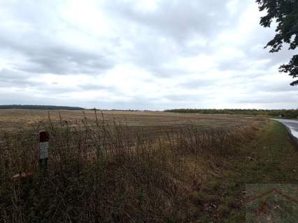 Działka inwestycyjna 1,76 ha WZ na 14 domów Pyrzyce